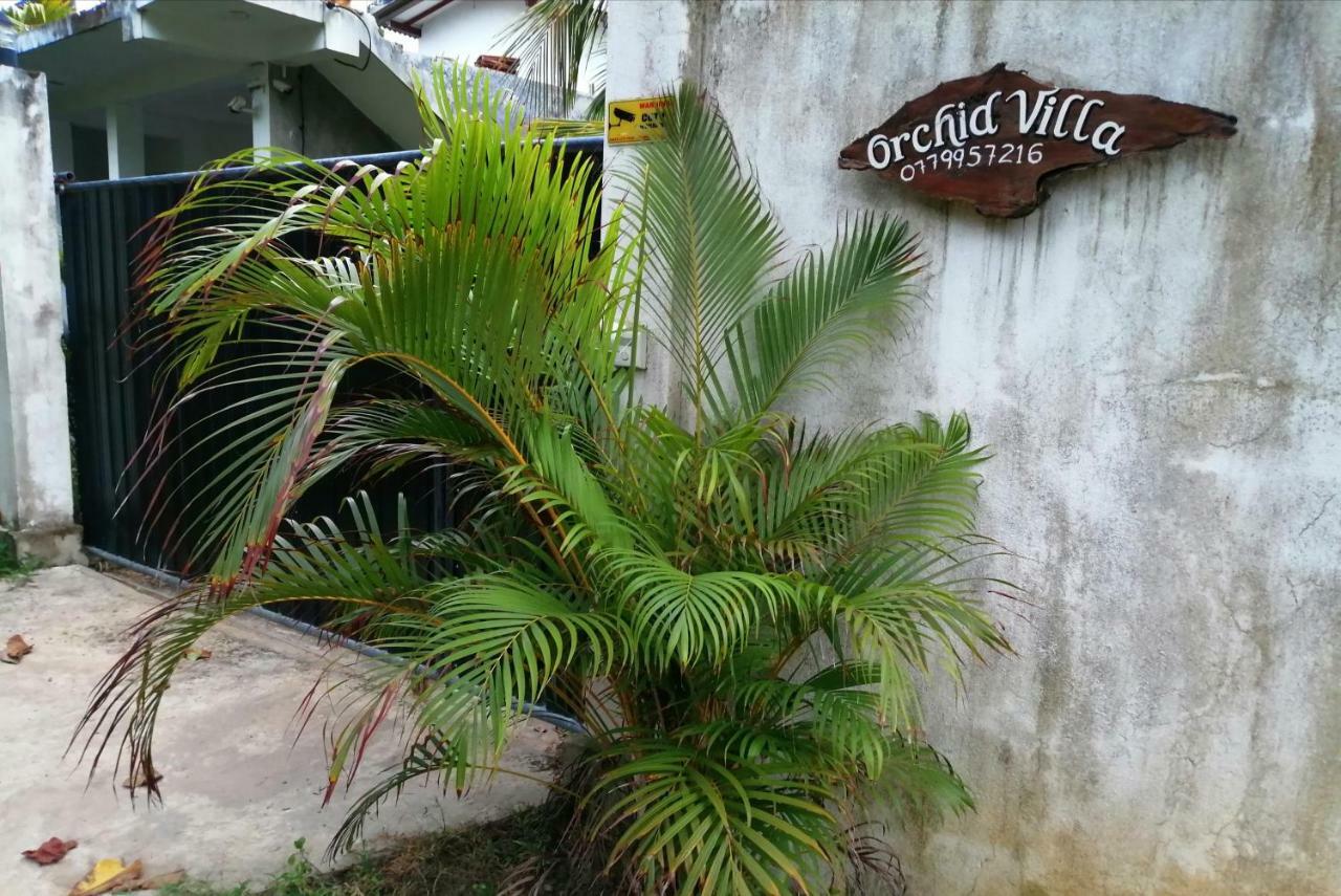 Orchid Villa #10 Hikkaduwa Exterior photo