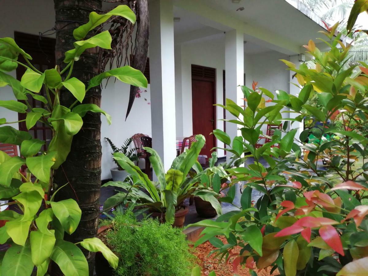 Orchid Villa #10 Hikkaduwa Exterior photo